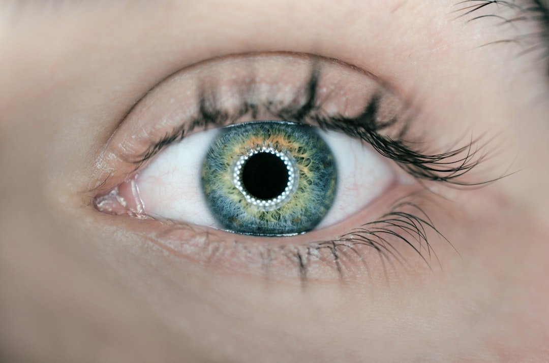 Comparison image showing different lash extension styles and lengths